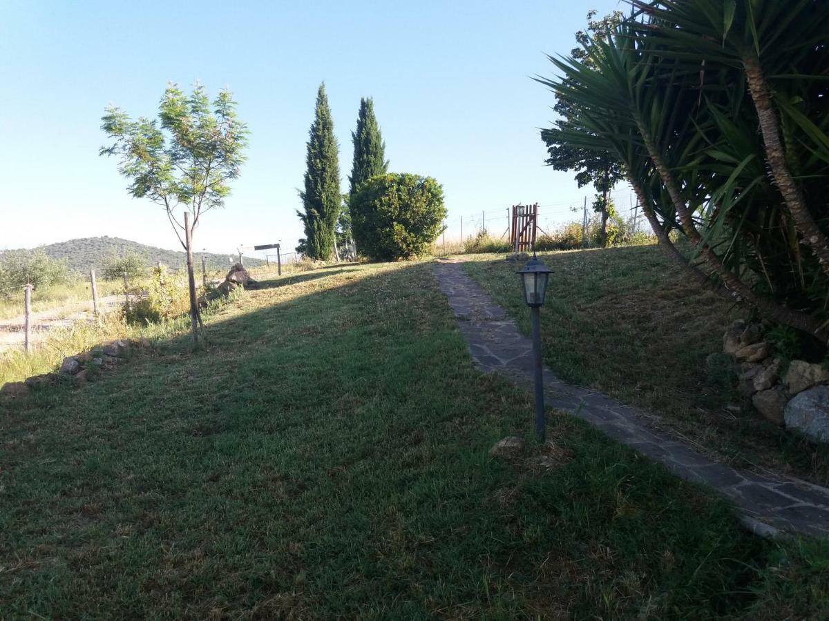 Апартаменти Maremma Che Vista! Campagnatico Екстер'єр фото