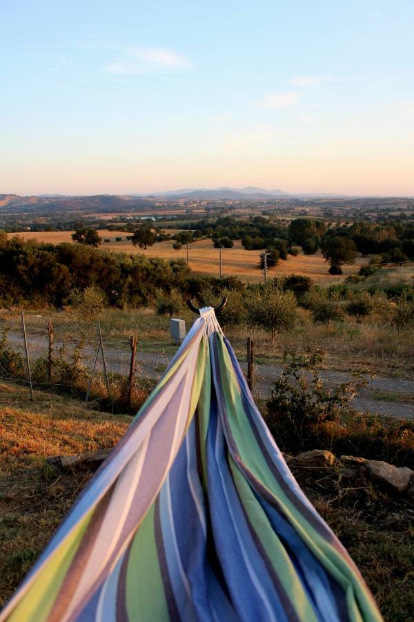 Апартаменти Maremma Che Vista! Campagnatico Екстер'єр фото