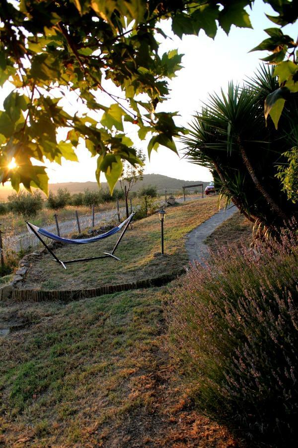 Апартаменти Maremma Che Vista! Campagnatico Екстер'єр фото